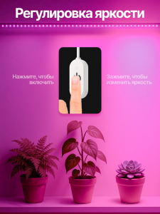 Фитолента для растений светодиодная с выключателем USB фиолетовый свет Огонёк OG-LDL38 5 метров